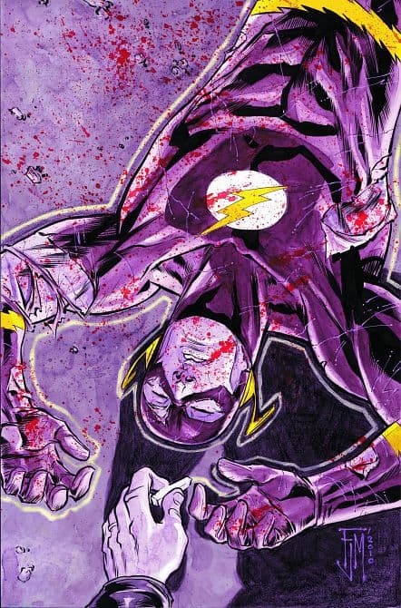 Cover Art for FLASH ( 2010-2011 )