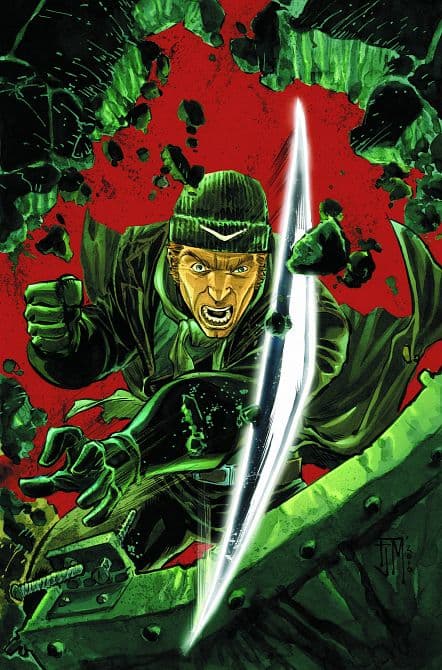 Cover Art für FLASH ( 2010-2011 )