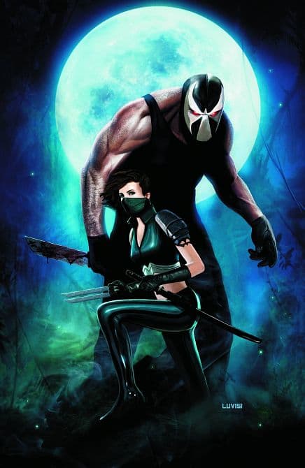 Cover Art for SECRET SIX ( 2008-2011 )