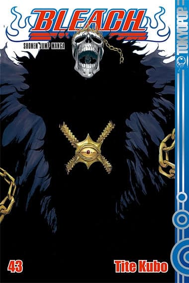 Cover Art for BLEACH ( ab 2006 )