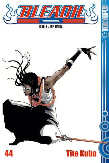 Cover Art for BLEACH ( ab 2006 )