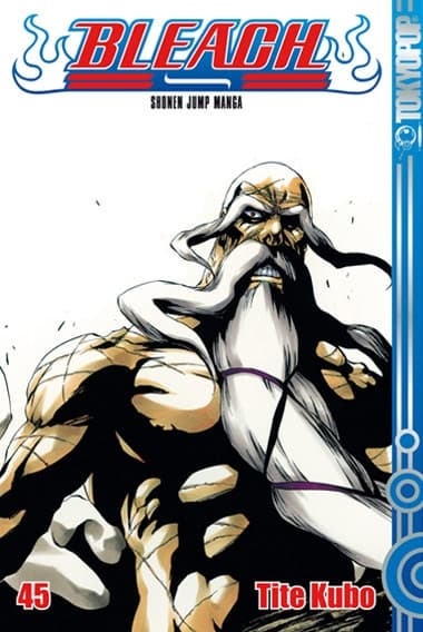 Cover Art for BLEACH ( ab 2006 )