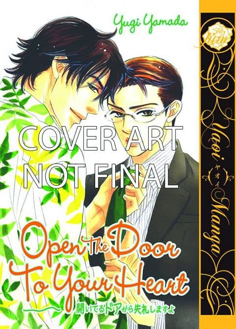 Cover Art for OPEN THE DOOR TO YOUR HEART GN