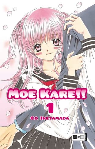 Cover Art for MOE KARE
