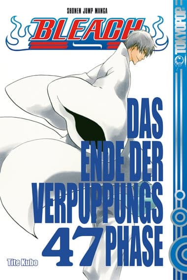 Cover Art for BLEACH ( ab 2006 )