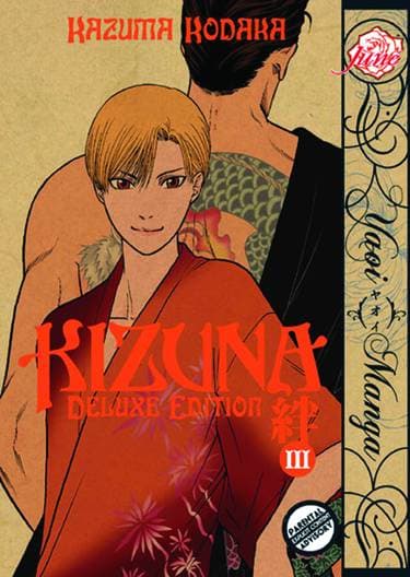 KIZUNA GN VOL 03 DLX ED