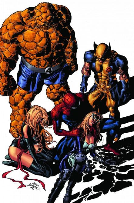 Cover Art for NEW AVENGERS ( 2010-2012 )