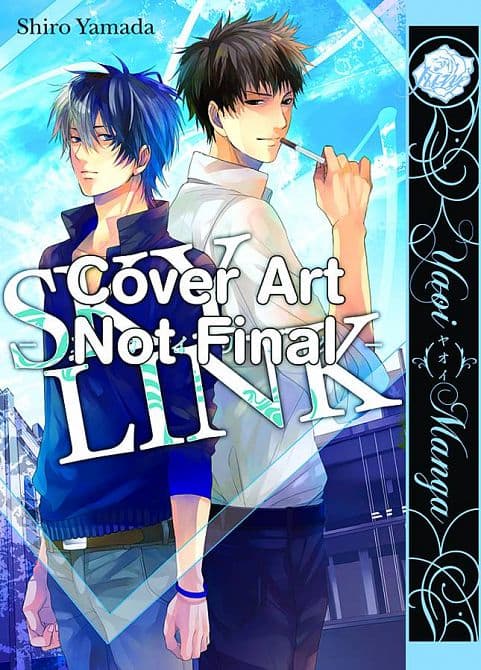 Cover Art for SKY LINK GN