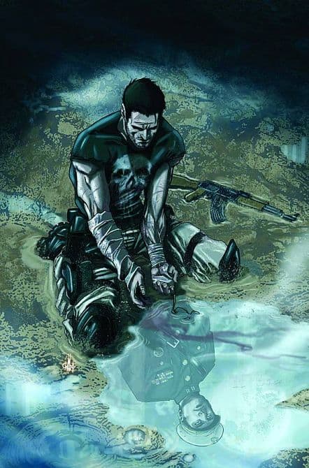 Cover Art für PUNISHER ( 2011-2012 )