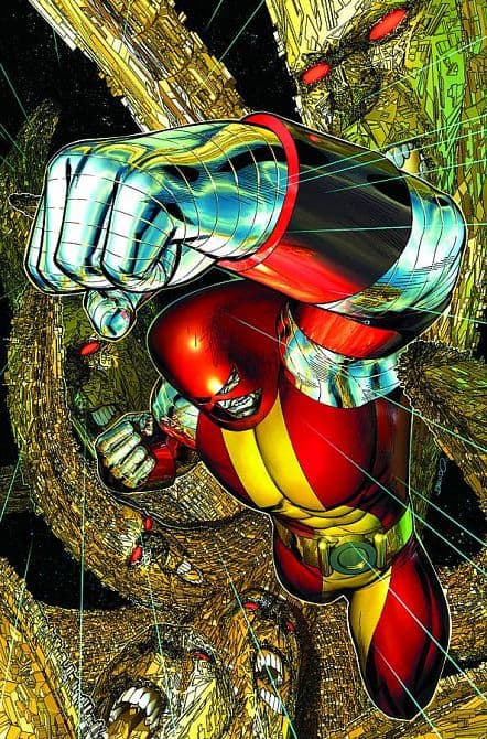 Cover Art for UNCANNY X-MEN ( 2011-2012 )