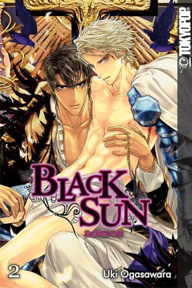 Cover Art for BLACK SUN