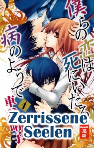 Cover Art for ZERRISSENE SEELEN