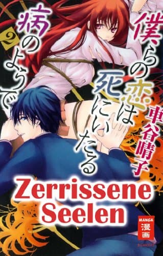 Cover Art for ZERRISSENE SEELEN