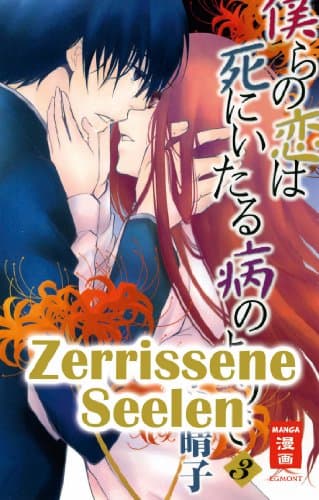 Cover Art for ZERRISSENE SEELEN