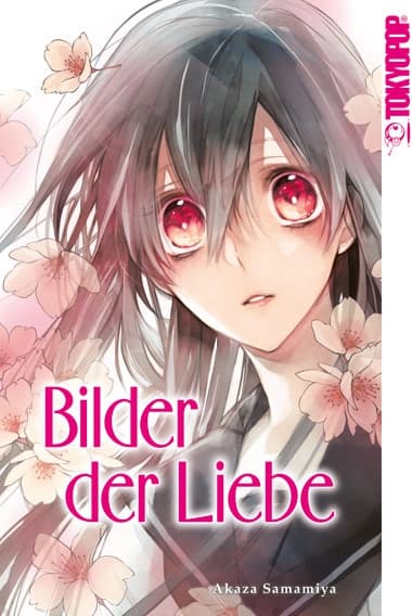 Cover Art for BILDER DER LIEBE
