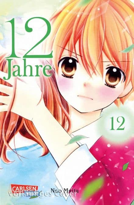 Cover Art for 12 JAHRE