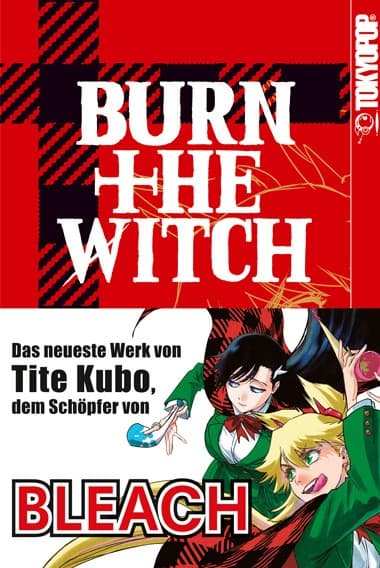 Cover Art for BURN THE WITCH