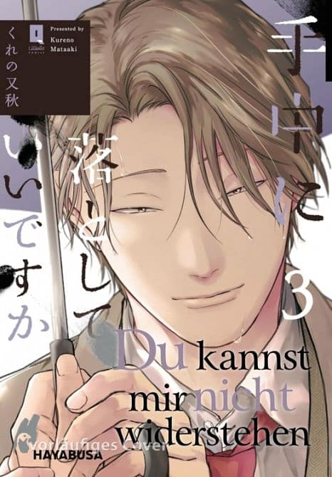 Cover von DU KANNST MIR NICHT WIDERSTEHEN #3