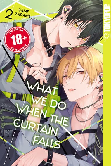 Cover Art for WHAT WE DO WHEN THE CURTAIN FALLS