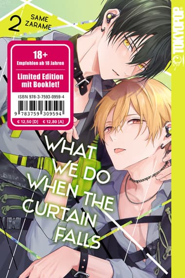 Cover Art for WHAT WE DO WHEN THE CURTAIN FALLS