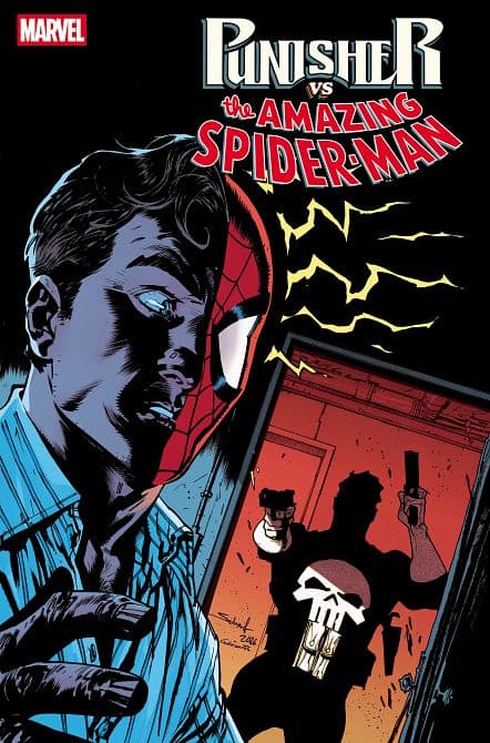 Cover Art für PUNISHER VS. SPIDER-MAN