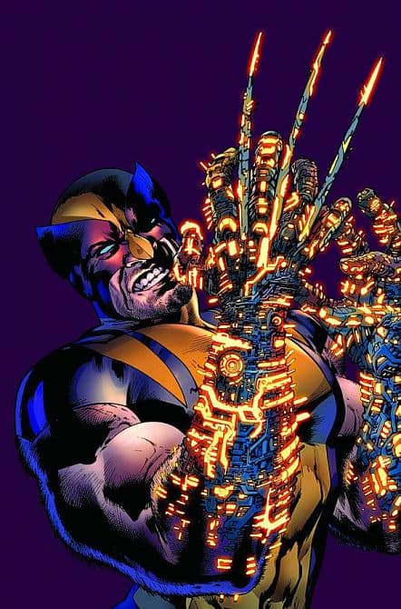 Cover Art for WOLVERINE BEST THERE IS